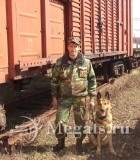 Охрана грузов на железнодорожном транспорте